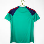 MAILLOT GARDIEN RETRO ESPAGNE 2010/2011