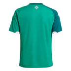 MAILLOT IRLANDE DU NORD DOMICILE COUPE DU MONDE 2026